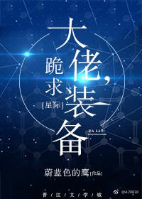 大佬,跪求装备