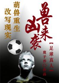凶兽来袭,速来支援里面的功法