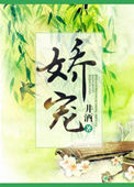 娇宠(重生)鸽子飞升晋江