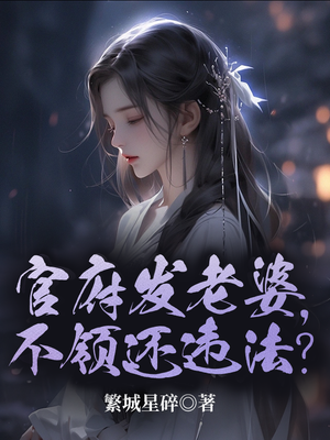 官府发老婆金峰是什么小说