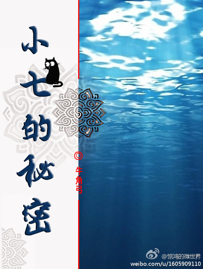 小七秘密资料