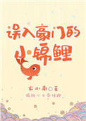 误入豪门的小锦鲤百度网盘