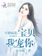 婚令如山宝贝我宠你免费阅读