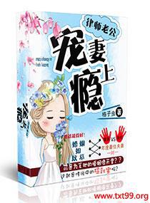 律师老公离婚吧 小说