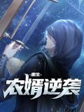 重生农婿逆袭