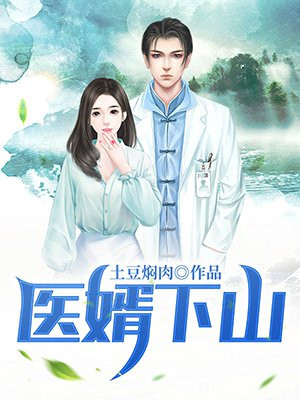 医婿下山叶不凡苏晗韵小说