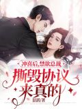 冲喜总裁文
