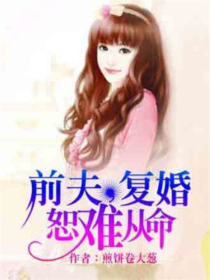 前夫求复婚电视剧免费观看全集