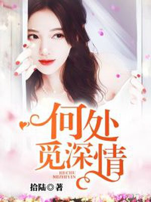 何处觅深情小说免费阅读