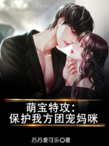 萌宝特工小说