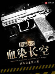 抗战之血染长空第二部叫什么名字