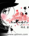 重生之苏锦洛 第153章