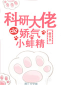 小说科研大佬