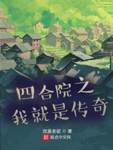 重生四合院美丽人生