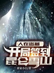 人在盗墓开局签到昆仑雪山txt