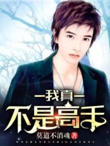 我真不是高手陈平安