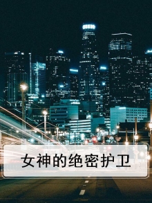 女神的神秘保镖