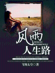风雨人生路歌词