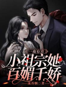 一夜有喜:小祖宗她百媚千娇 流苏烟