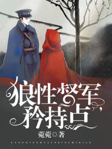 晚安,我的督军先生 小说