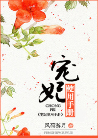 宠妃使用手册百度网盘