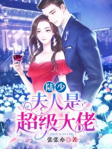 陆少,夫人是超级大佬小说