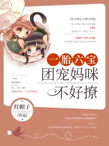 一胎六宝团宠妈咪不好撩全文免费阅读海淀石油大街大院