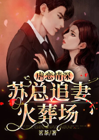 虐妻一时爽,追妻火葬场的总裁小说