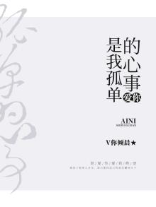 爱你是我孤单的心事歌词