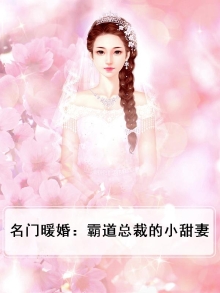 名门暖婚:霸道总裁的小甜妻全文阅读