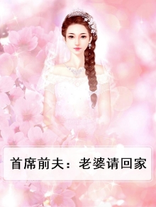 首席的前妻老婆再爱我一次