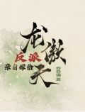 反派亲自嫁给龙傲天卷