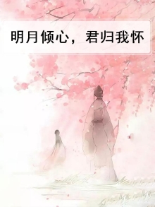 明月倾晋江