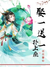 小说娶一赠一