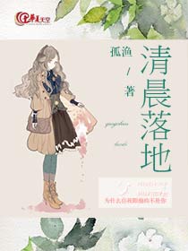 早日落地什么意思