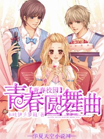 青春圆舞曲作文