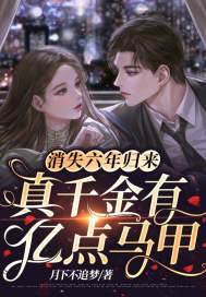 主人公消失六年是什么小说