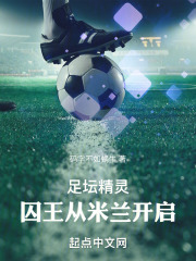 足坛精灵:囚王从米兰开启免费阅读