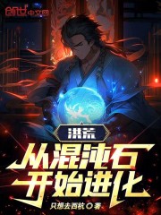 洪荒:从混沌石开始进化小说