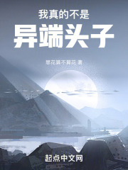 我真的不是异端头子小说