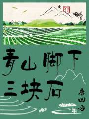 青山脚下三块石头