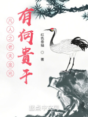 凡人之老夫金光 的小说阅读