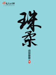 珠柔须弥普普百度网盘