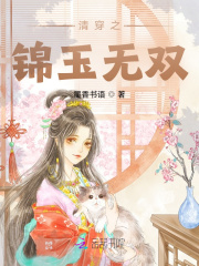 清穿之锦绣如心 小说免费阅读