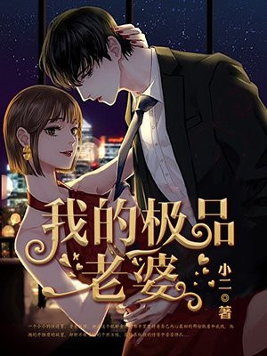 我的极品老婆电视剧第二季完整版