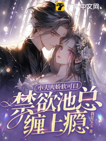 小夫人小说