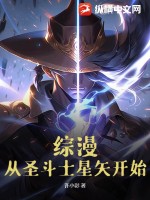 综漫从圣斗士冥王神话lc