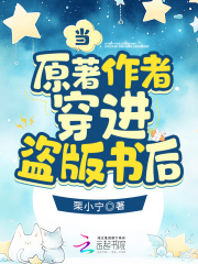 穿越进盗版小说之后