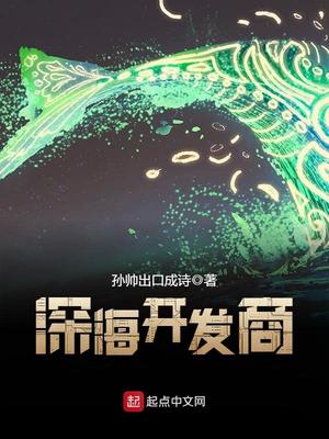 深海开发商小说