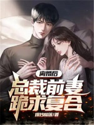 小说离婚后总裁前妻跪求复合